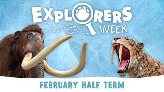 February Half Term 2019 at West Midland Safari Park February Half Term 2019 at West Midland Safari Park